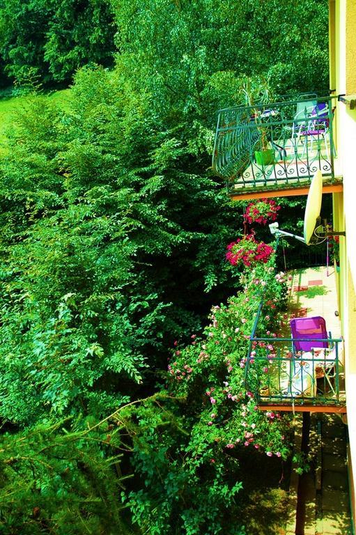 Raj Muszyna Apartamenty Z Widokiem Na Panorame Gorska Экстерьер фото